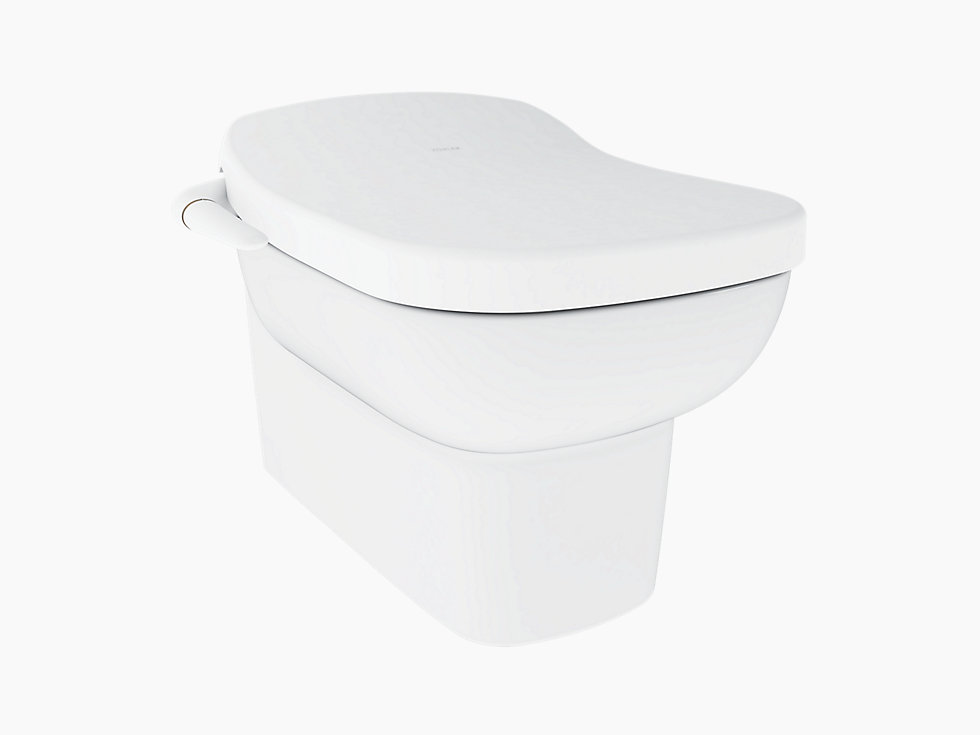 Kohler - Replay  Wall-hung Toilet With Pureclean Bidet Seat